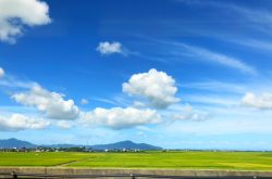 新幹線の車窓から